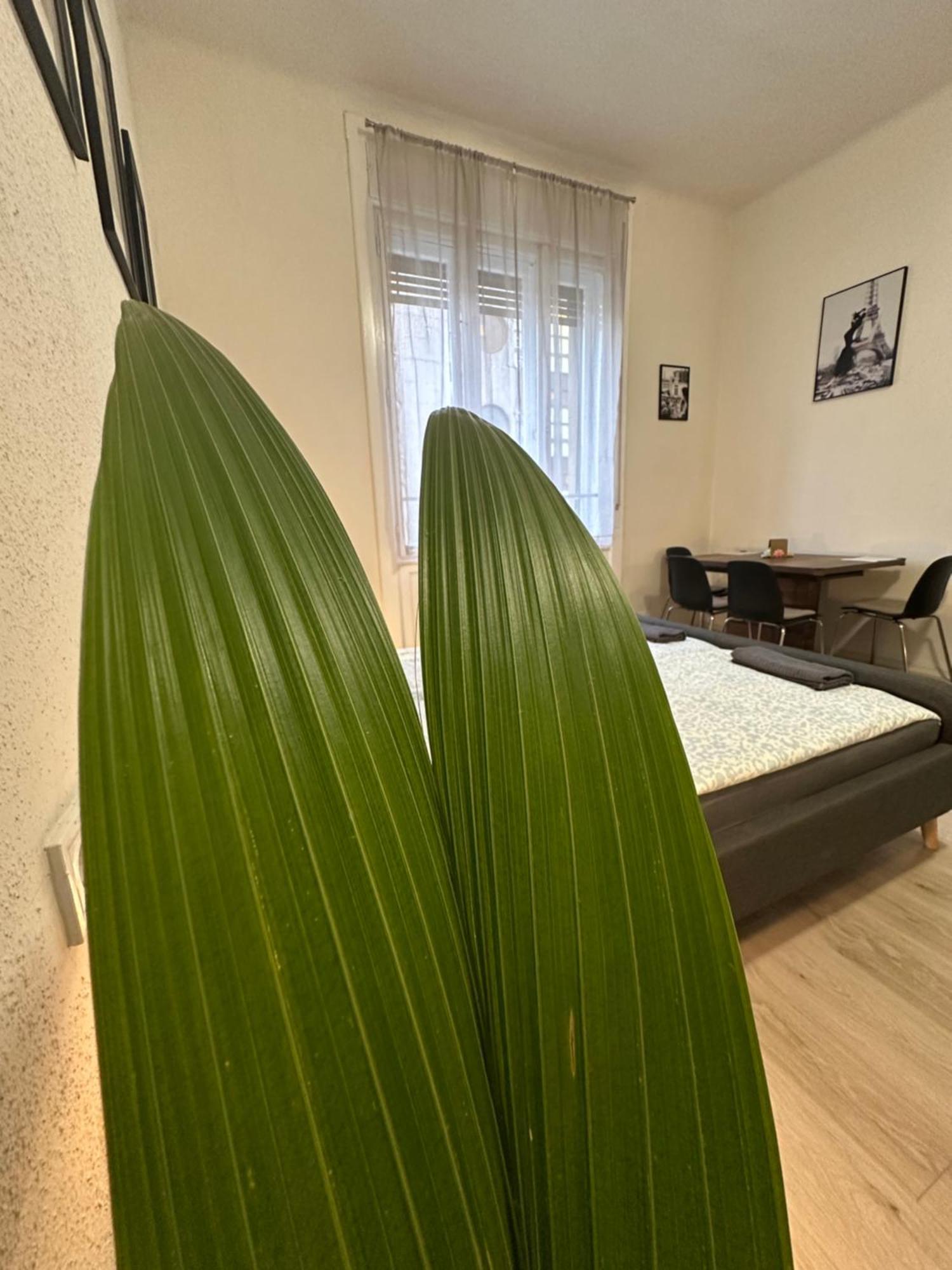 Apartment Deri Corner By Downtown Budapest