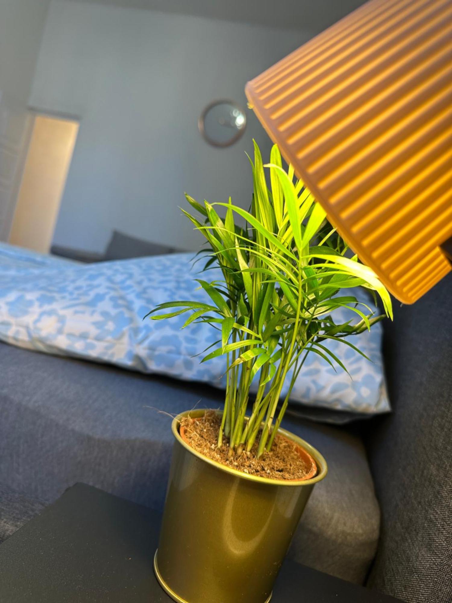 Deri Corner By Downtown Apartment Budapest